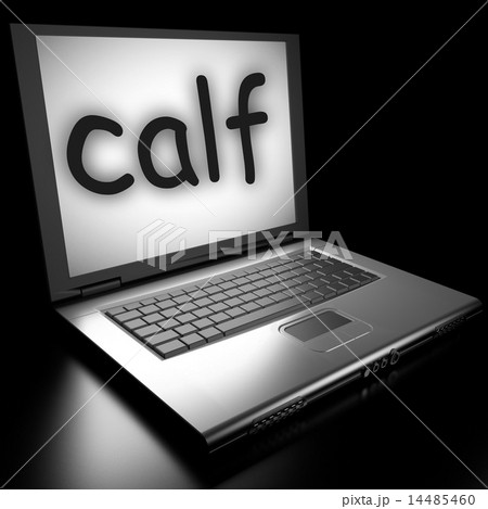 calf word on laptop calf word on laptop 14485460