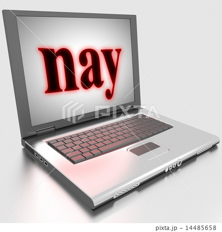 nay word on laptop 14485658