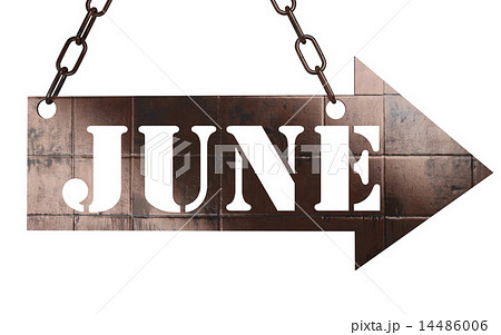 June word on metal pointer 14486006