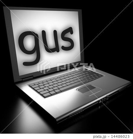 Word on laptop Word on laptop 14486023