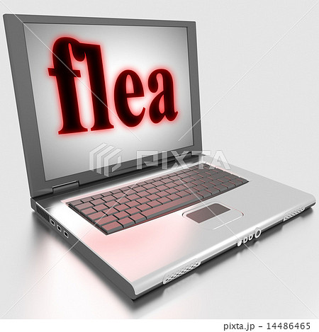 flea word on laptop flea word on laptop 14486465