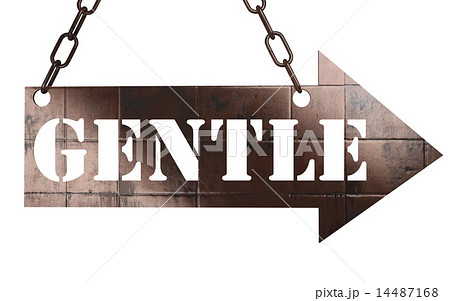 gentle word on metal pointer 14487168