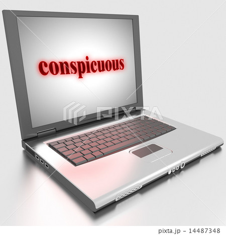 conspicuous word on laptop 14487348