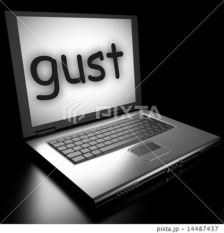 Word on laptop Word on laptop 14487437