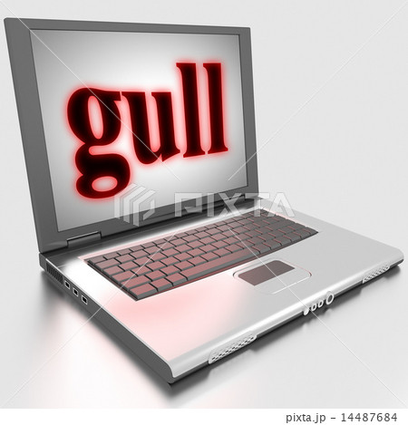 gull word on laptop gull word on laptop 14487684