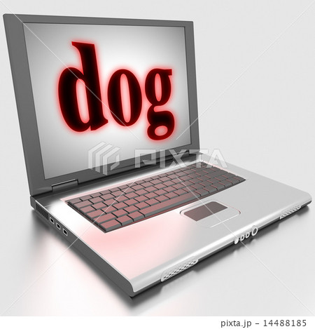 dog word on laptop 14488185