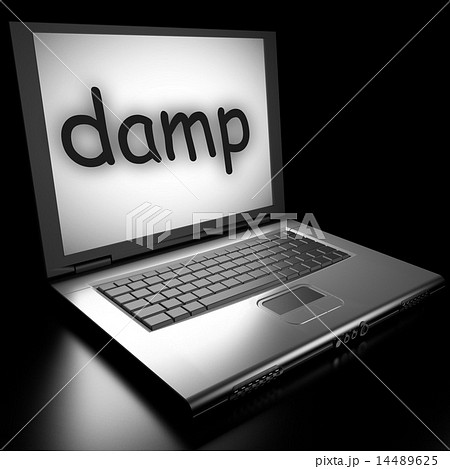 damp word on laptop 14489625