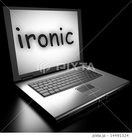 Word on laptop 14491324