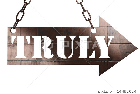 truly word on metal pointer 14492024
