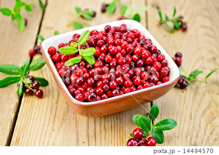 Lingonberry red in bowl on board 14494570