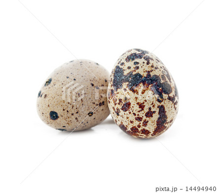 two quail egg 14494940