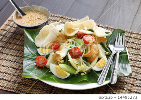 ガドガド ガドガド 14495273