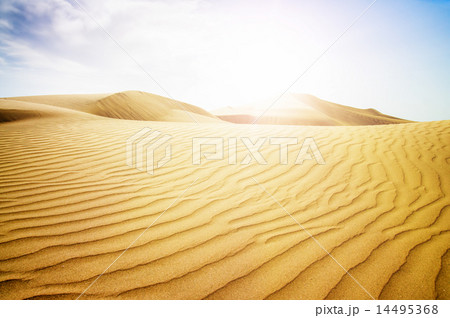 Blue sky and sand dunes in sunny day. 14495368
