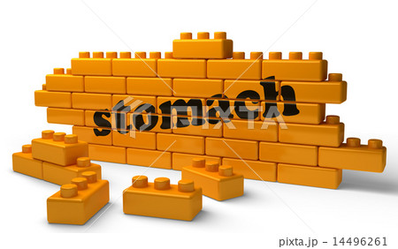 stomach word on yellow brick wall 14496261