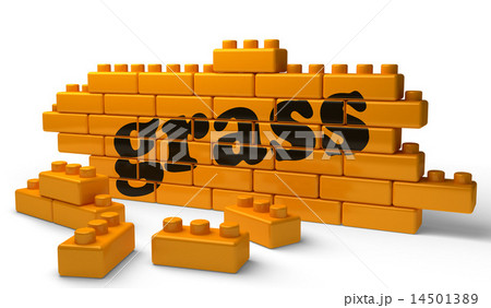 grass word on yellow brick wall 14501389