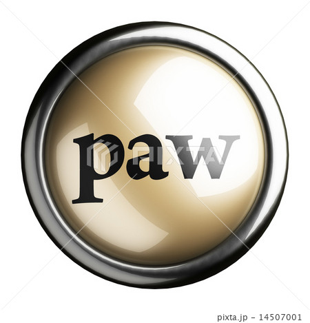paw word on isolated button paw word on isolated button 14507001