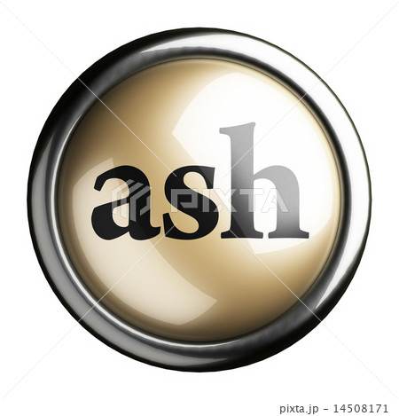 ash word on isolated button 14508171
