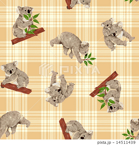 コアラのパターン 14511439