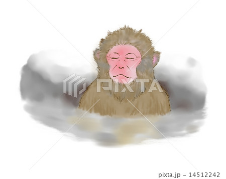 温泉につかる猿のイラスト素材