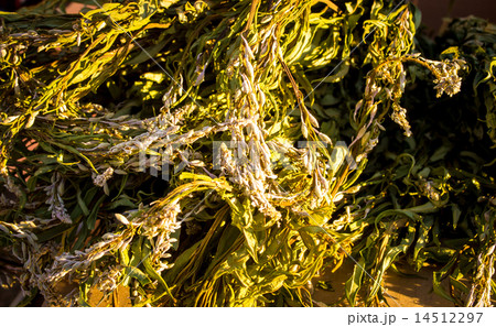 Fresh Tea Herbs Fresh Tea Herbs 14512297