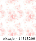 桜のシームレスパターン(白背景) 14513209