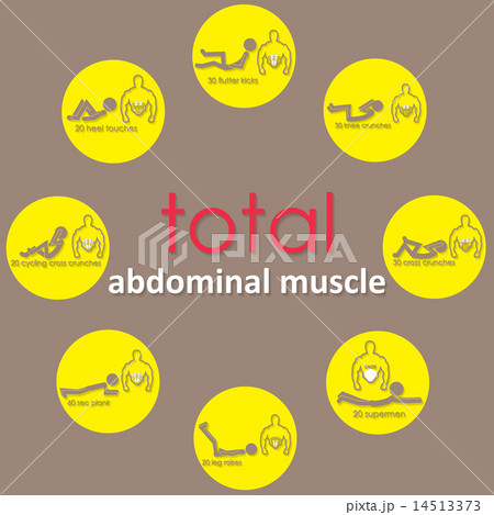 adbomianal muscle on yellow circle adbomianal muscle on yellow circle 14513373