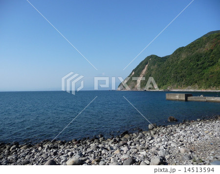 沼津市井田の海岸にて 14513594