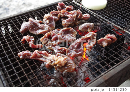 猪肉の網焼き 猪肉の網焼き 14514250
