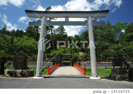 出雲　熊野大社 14514735
