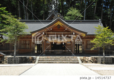 出雲　熊野大社 14514737