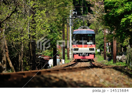 鞍馬ー貴船口間を行く叡電900系きらら 14515684