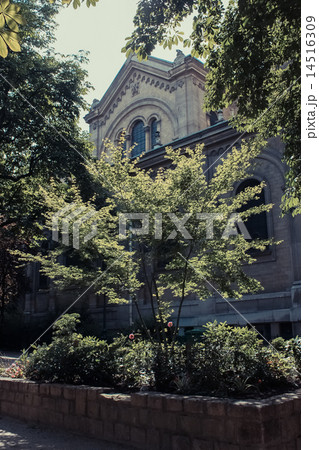 Paris street Paris street 14516309
