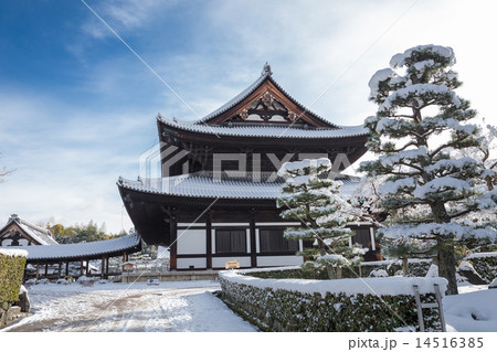 東福寺・本堂 14516385
