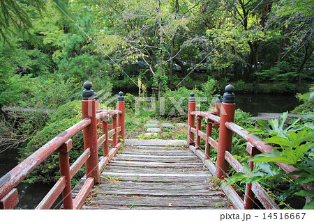 深大寺 深大寺 14516667