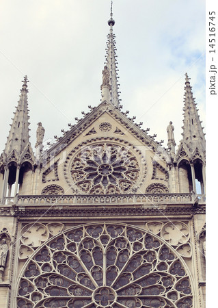 Architectural details of Cathedral Notre Dame de Paris. Architectural details of Cathedral Notre Dame de Paris. 14516745