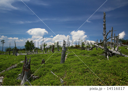 大台ケ原 奈良県 大台ケ原 奈良県 14516817
