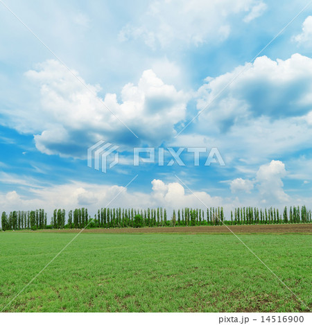 low clouds in blue sky over green field low clouds in blue sky over green field 14516900