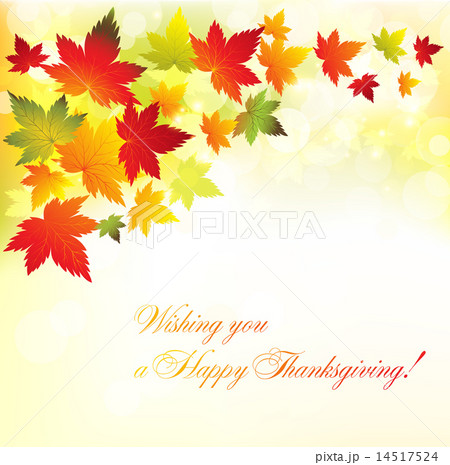 Autumn leaves background.Vector. 14517524