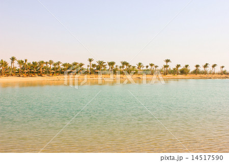 Beach at sun light. 14517590