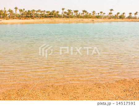 Beach at sun light. Tropical beach for vacation. 14517591