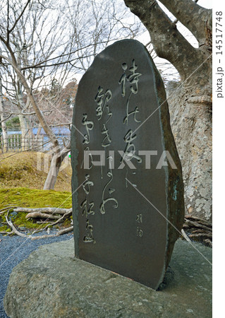 松島散歩:石原朝陽句碑 観瀾亭 松島海岸 松島散歩:石原朝陽句碑 観瀾亭 松島海岸 14517748