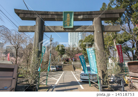 芝東照宮 芝東照宮 14518753