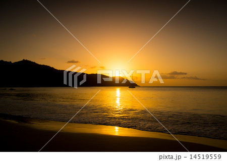 White coral beach sand and azure indian ocean. 14519559
