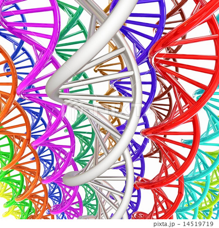 DNA structure model background DNA structure model background 14519719