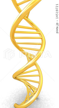 DNA structure model DNA structure model 14519721