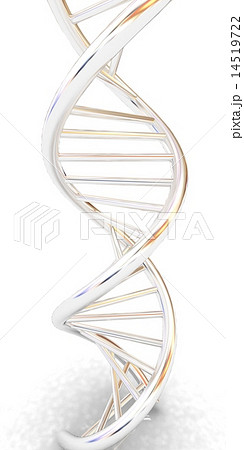 DNA structure model 14519722