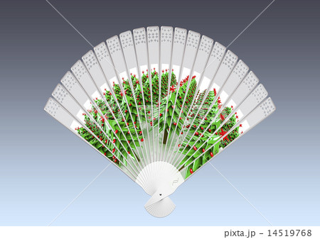 Colorful hand fan 14519768