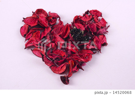 love 14520068