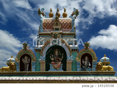 Suchindram temple,Kanniyakumari, South India 14520536