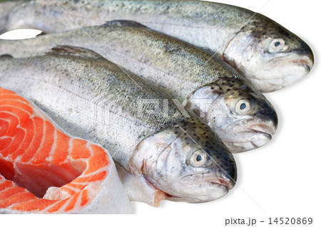 fresh trout and salmon slice on white background 14520869